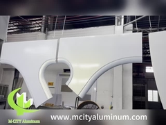 Hyperbolische metalen panelen Solid aluminium architectonische gevel