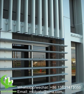Verticale loper Architectonische aluminium loper met een ovale vorm voor gevelgordijnen