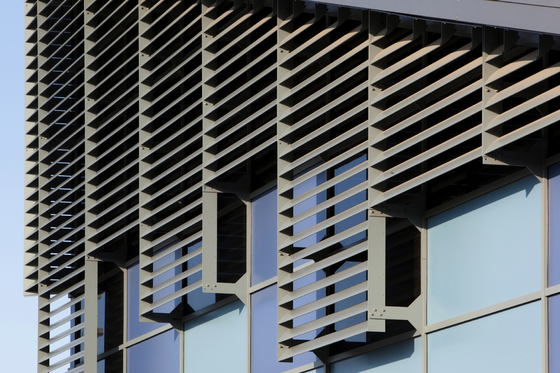 aluminiumluiken voor de decoratie van gebouwen volgens het ontwerp van de architect 100 mm