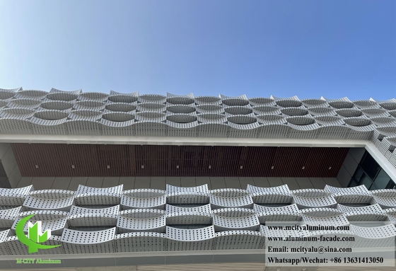 Metalen bekleding op maat gemaakt geperforeerd aluminium scherm voor wandgevel decoratie 3D-vorm