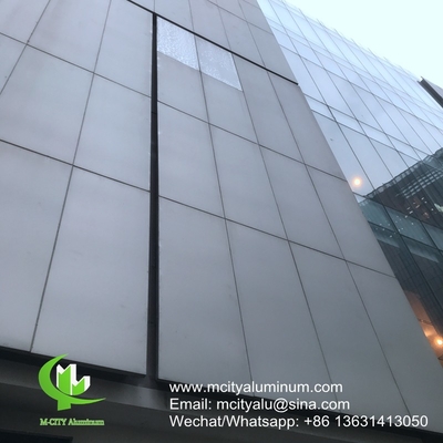 met poedercoating Metalen aluminium geperforeerd niet-standaardpaneel voor de buitenkant van gebouwen