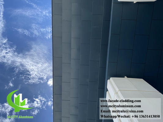 Metalen wandbekleding van massief aluminium voor de decoratie van gevels, plafonds, interieur en exterieur
