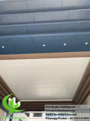Metalen plafond aluminium bekleding massieve wandpanelen winddicht waterdicht systeem