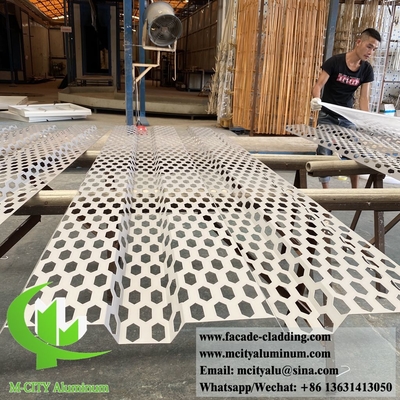 Decoratief geperforeerd aluminiumplaatpaneel met zeshoekige vorm poederbedekt met grijze kleur