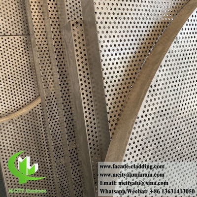 Perforated Metal Sheet Aluminium Plafond Decoratie