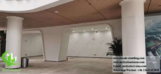 Metalen plafond met geperforeerd aluminiumplaat Metalen scherm PVDF